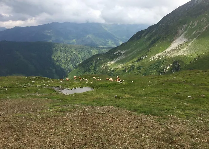 Appartement Muehlhaeusl