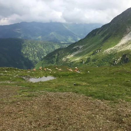 Apartamento Mühlhäusl